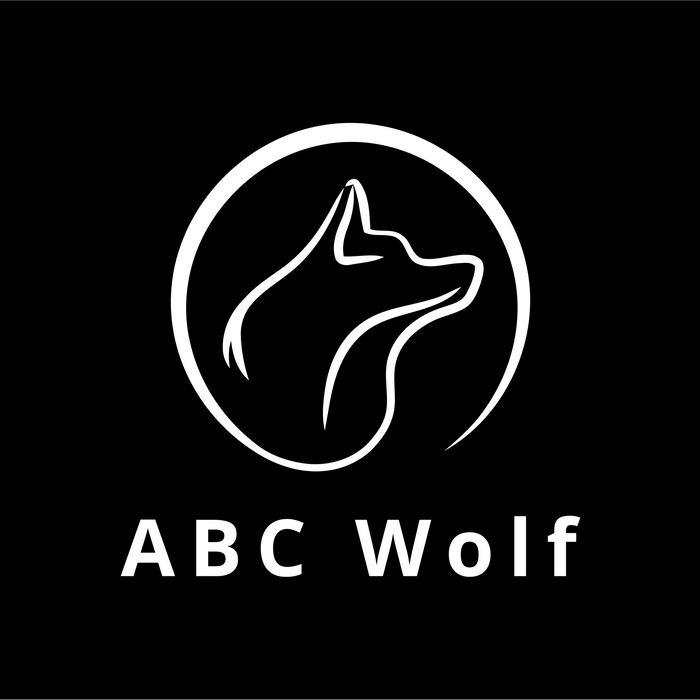How ABC Wolf Started and Became Miniature Motors